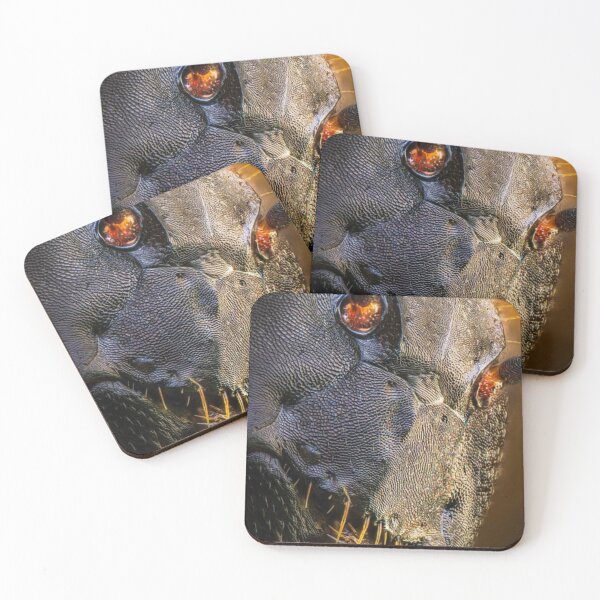 Item preview, ANT REAL FACE LIVE BEAUTIFUL VIEW designed and sold by rezki-lillah.