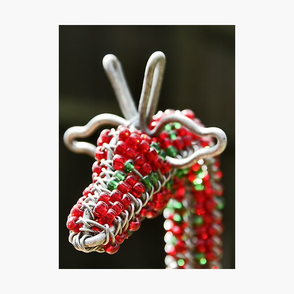 Giraffe Photographic Print