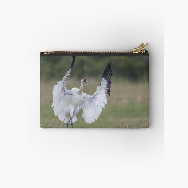 Item preview, Whooping crane in action designed and sold by Puttaswamy Ravishankar.