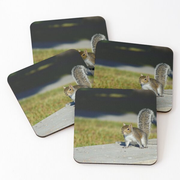 Item preview, Gray Squirrell at Lakefront Park  designed and sold by MercerImages.