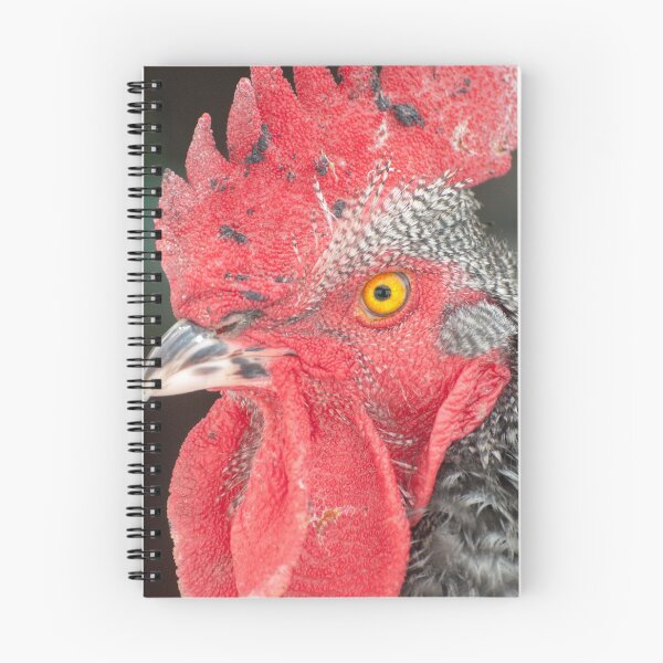 Item preview, Rooster Named Brute designed and sold by Troy Stapek.