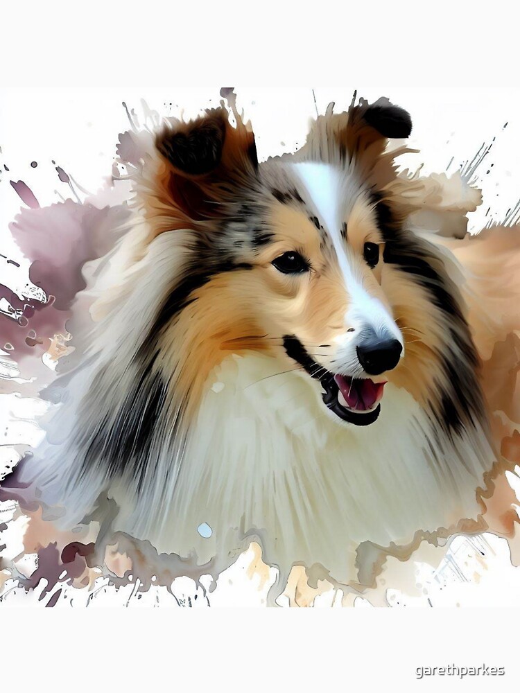 Lassie Collie – Big Furry Friends