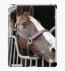 Booger the Horse iPad Case/Skin