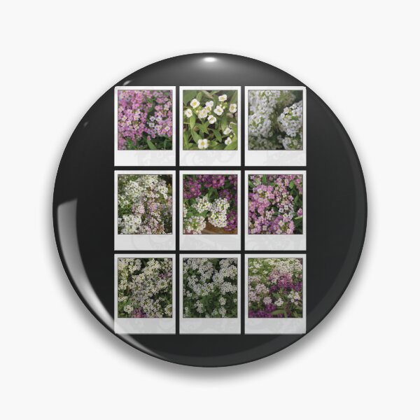 Item preview, Assylum Photo Collection [full set bundle] designed and sold by deadbeatprince-typography.