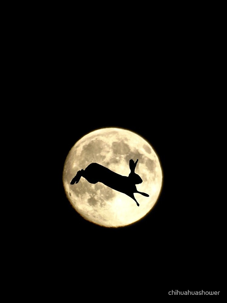 Hare and Moon by chihuahuashower