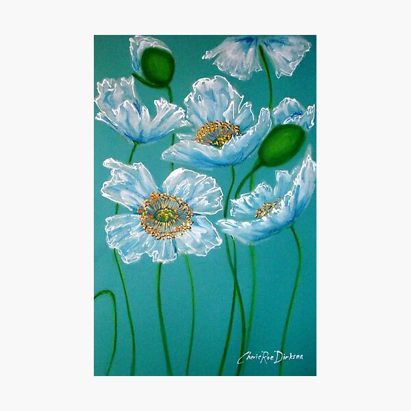 White Poppies Photographic Print