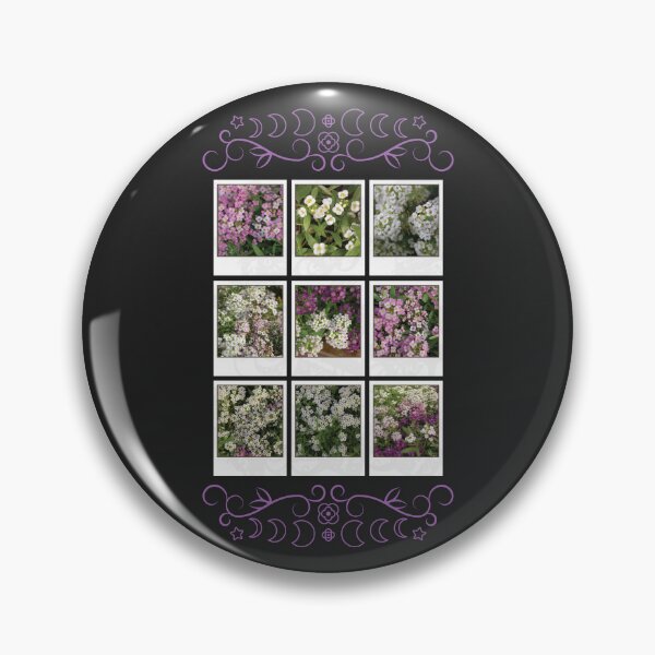 Item preview, Assylum Photo Collection [full set bundle2] designed and sold by deadbeatprince-typography.