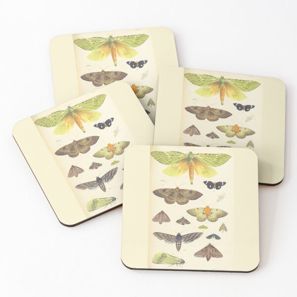 Item preview, Vintage Moth Poster Design designed and sold by ellapopo.
