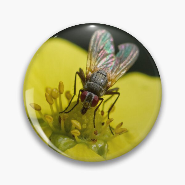 Item preview, Colorful life of a fly designed and sold by Jouko Lehto Photography.