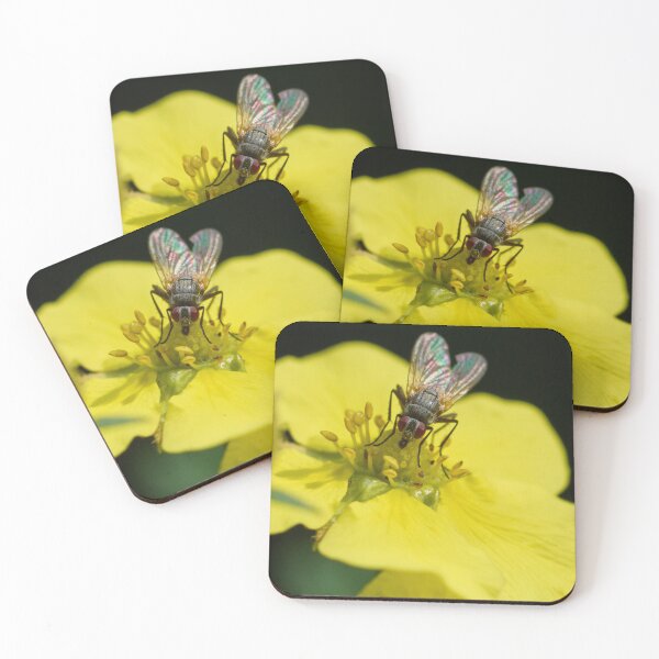 Item preview, Colorful life of a fly designed and sold by Jouko Lehto Photography.
