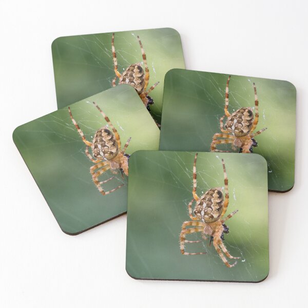 Item preview, Hanging and eating. Cross orbweaver designed and sold by Jouko Lehto Photography.