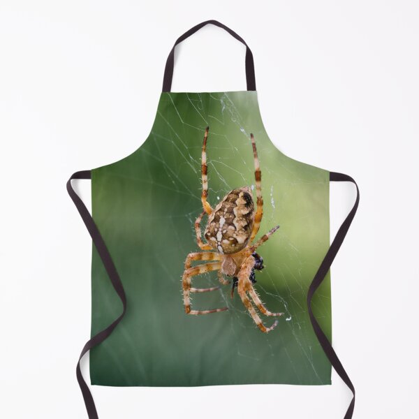 Item preview, Hanging and eating. Cross orbweaver designed and sold by Jouko Lehto Photography.