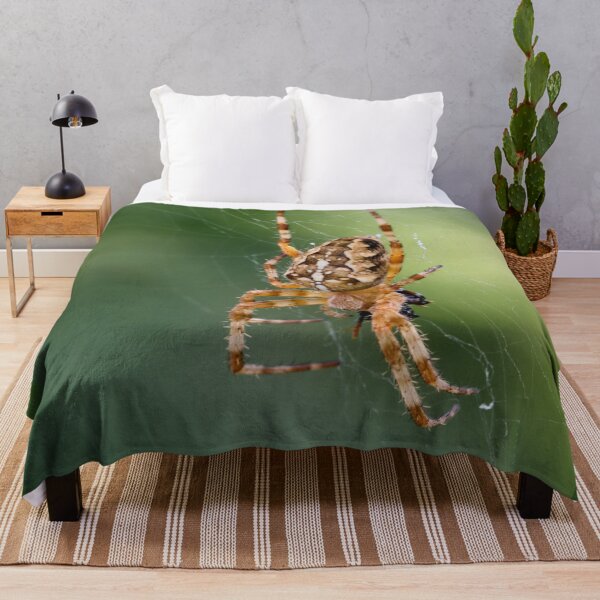 Item preview, Hanging and eating. Cross orbweaver designed and sold by Jouko Lehto Photography.