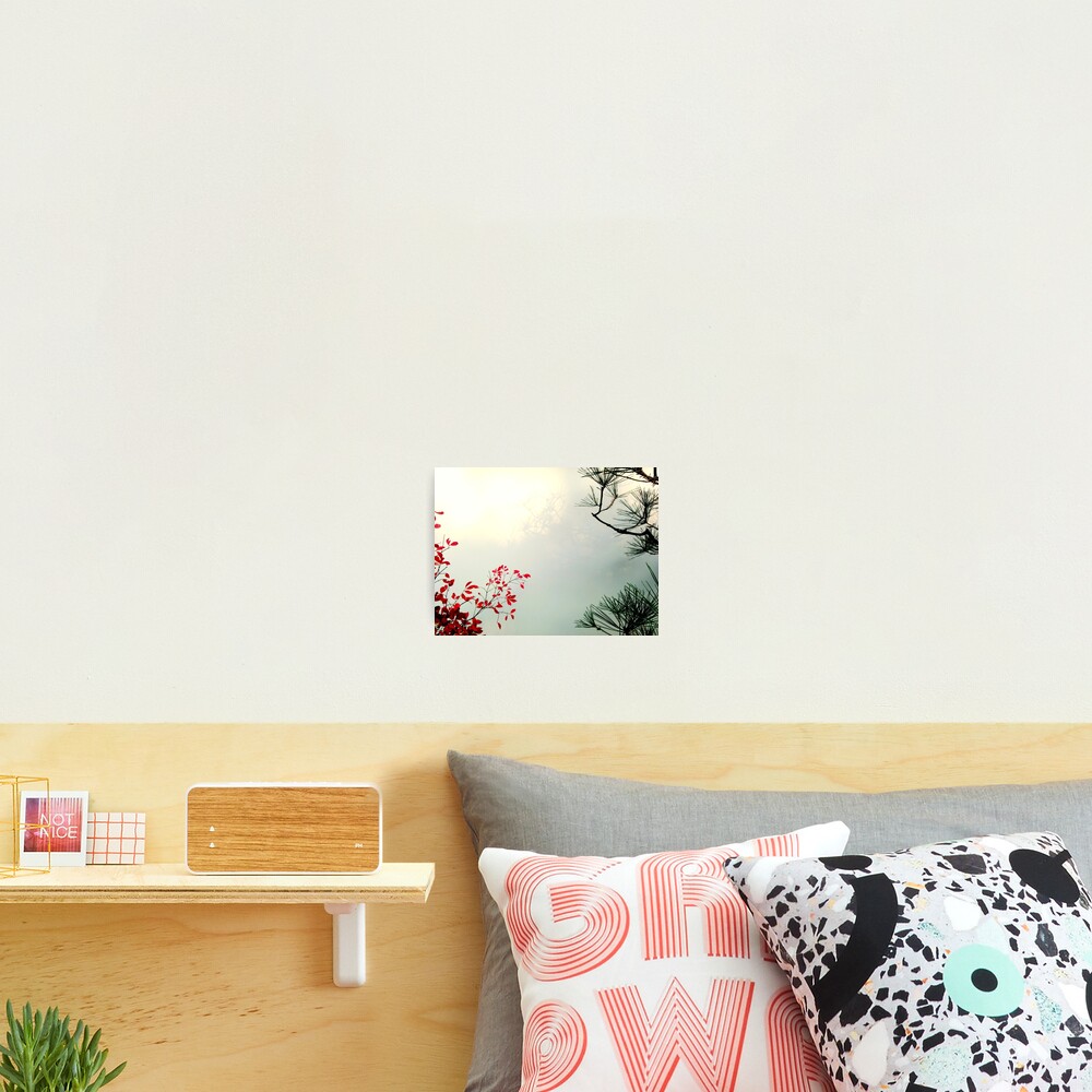 Last Chance Photographic Print