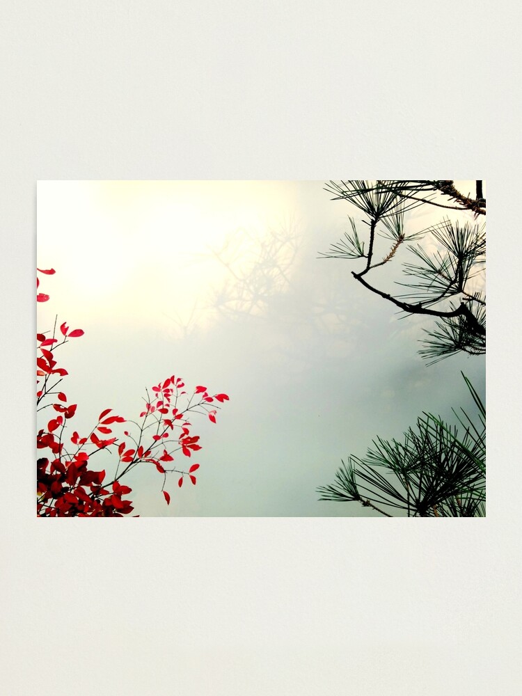 Alternate view of Last Chance Photographic Print