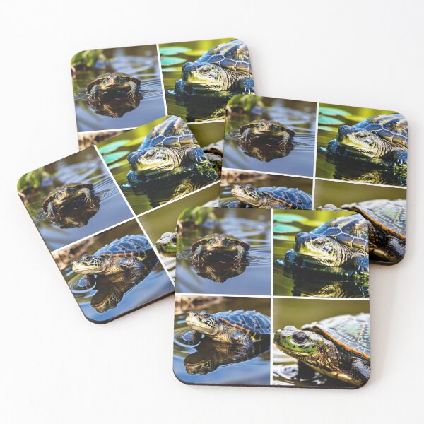 Item preview, Cute Baby Turtle Army Collage Officer Cadet Major General  designed and sold by Michael Voyler.