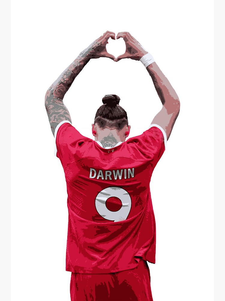 L mina r gida for Sale con la obra Darwin N ez Liverpool de