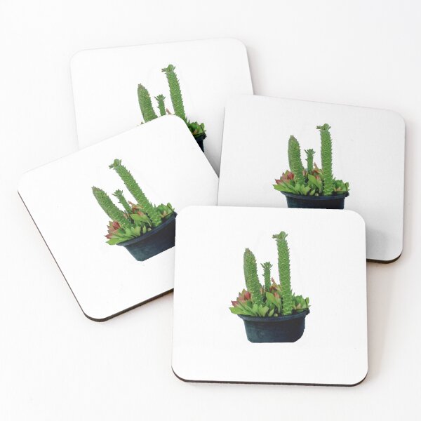 Aperçu de l'œuvre Cactus vert créée et vendue par Simone1962.