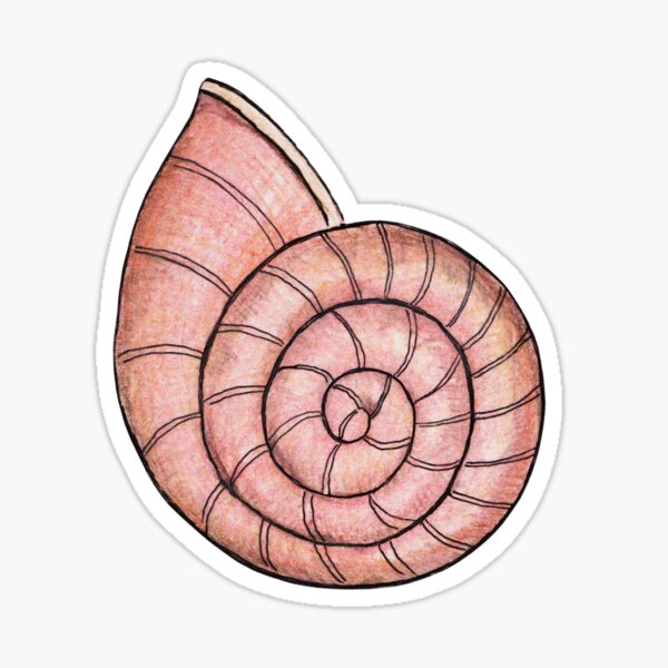 Snail Shell Sticker