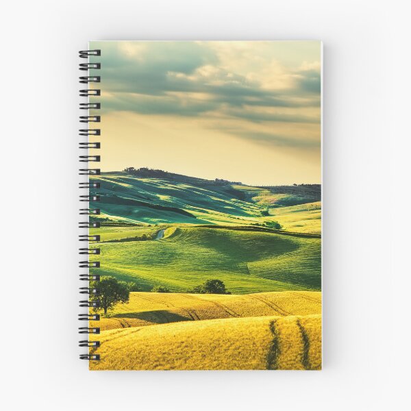 Item preview, A fantastic view of the Tuscany countryside in Spring. Val d'Orcia. designed and sold by Stefano Orazzini.