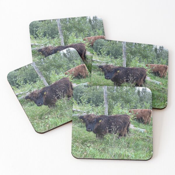 Item preview, Scottish Highland Cattle Calf 4536 designed and sold by SaarelaHighland.