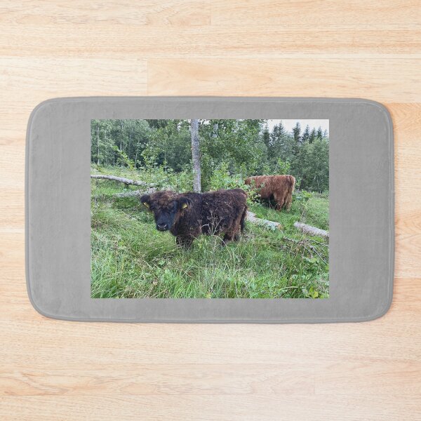 Artikelvorschau, Schottisches Hochlandrinderkalb 4536 entworfen und verkauft von SaarelaHighland.