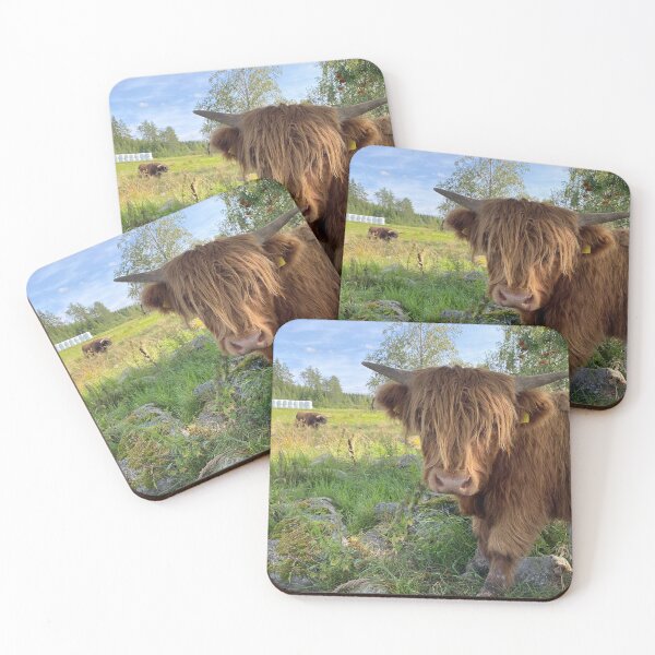 Item preview, Scottish Highland Cattle Bull 4537 designed and sold by SaarelaHighland.