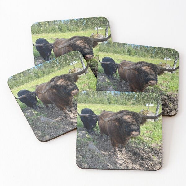 Item preview, Scottish Highland Cattle Bull 4538 designed and sold by SaarelaHighland.