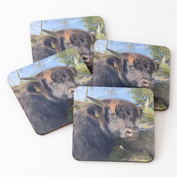 Item preview, Scottish Highland Cattle Calf 4539 designed and sold by SaarelaHighland.