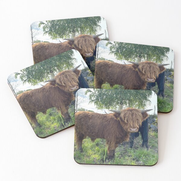 Item preview, Scottish Highland Cattle Bull 4540 designed and sold by SaarelaHighland.