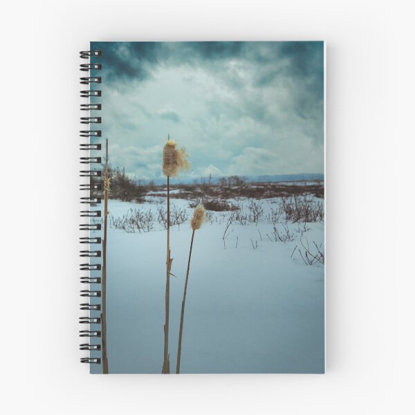 Item preview, Winter's Dramatic Ballet V1 designed and sold by Family Journey with God.
