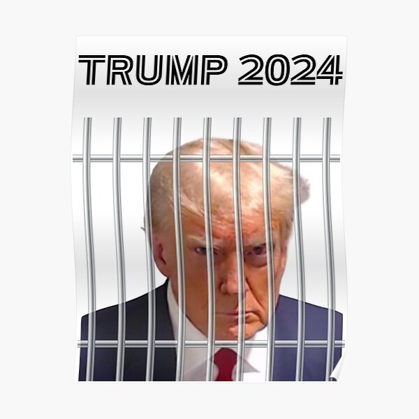 Trump for Prison 2024 Poster