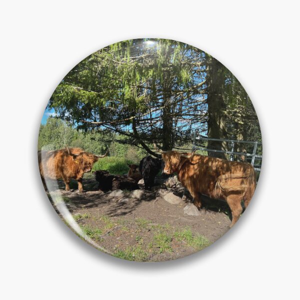 Item preview, Scottish Highland Cattle Cows 4547 designed and sold by SaarelaHighland.