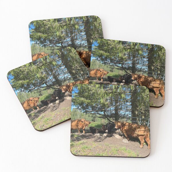 Item preview, Scottish Highland Cattle Cows 4547 designed and sold by SaarelaHighland.