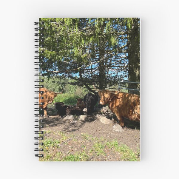 Item preview, Scottish Highland Cattle Cows 4547 designed and sold by SaarelaHighland.