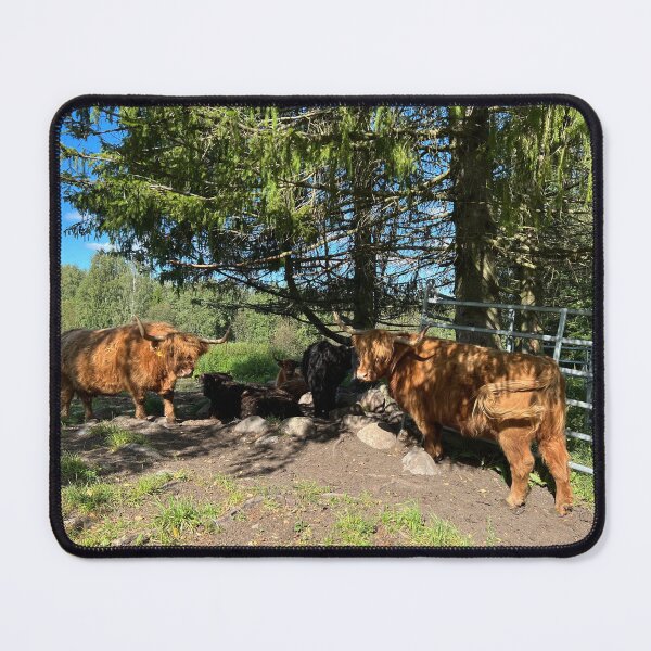 Item preview, Scottish Highland Cattle Cows 4547 designed and sold by SaarelaHighland.