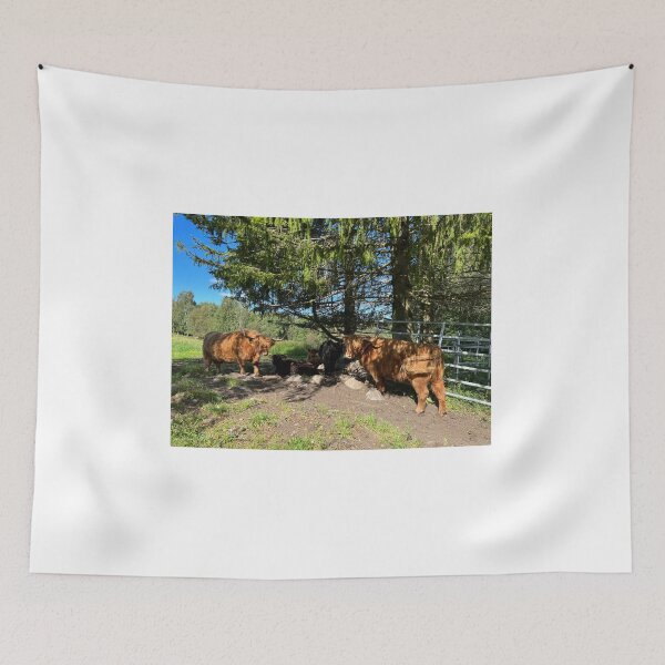 Item preview, Scottish Highland Cattle Cows 4547 designed and sold by SaarelaHighland.