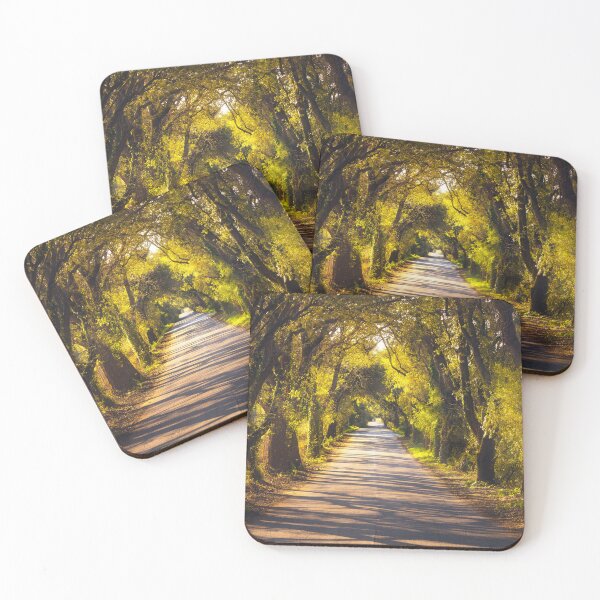 Item preview, La Bolgherese scenic road in Tuscany designed and sold by Stefano Orazzini.
