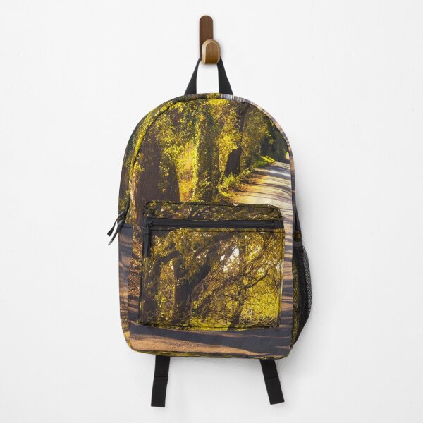 Item preview, La Bolgherese scenic road in Tuscany designed and sold by Stefano Orazzini.