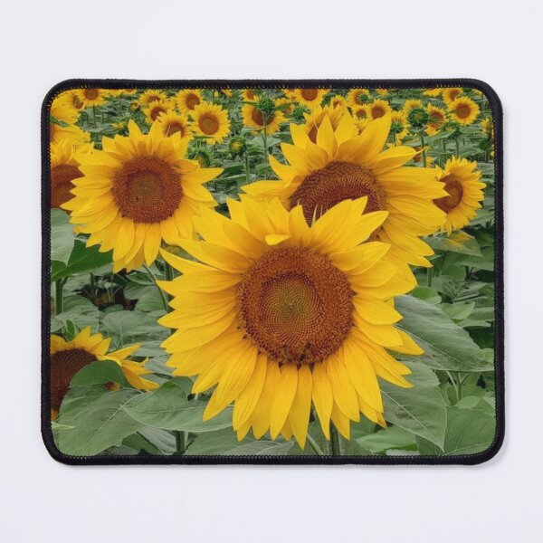 Item preview, Sunflower meadow designed and sold by GasconyPassion.