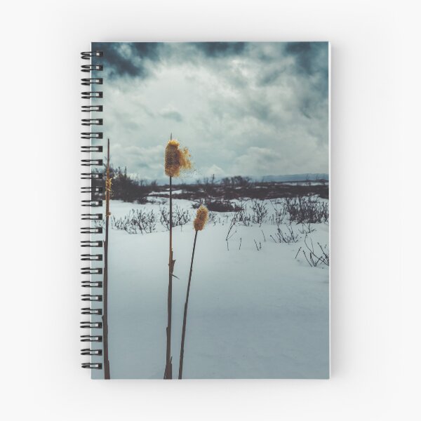 Item preview, Winter's Dramatic Ballet V2 designed and sold by Family Journey with God.