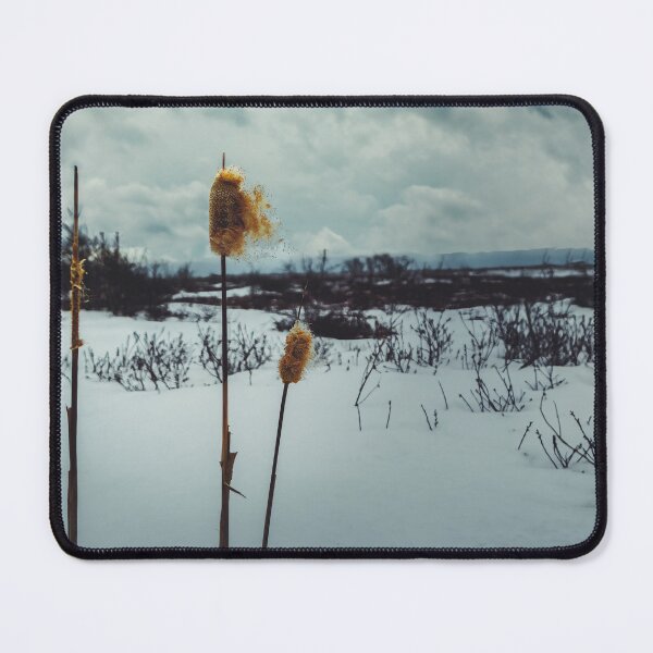 Item preview, Winter's Dramatic Ballet V2 designed and sold by Family Journey with God.