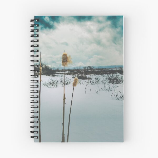 Item preview, Winter's Dramatic Ballet V3 designed and sold by Family Journey with God.