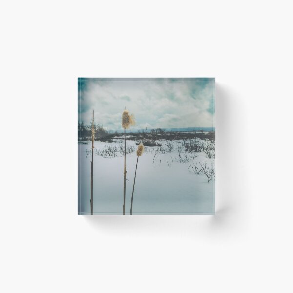 Item preview, Winter's Dramatic Ballet V3 designed and sold by Family Journey with God.
