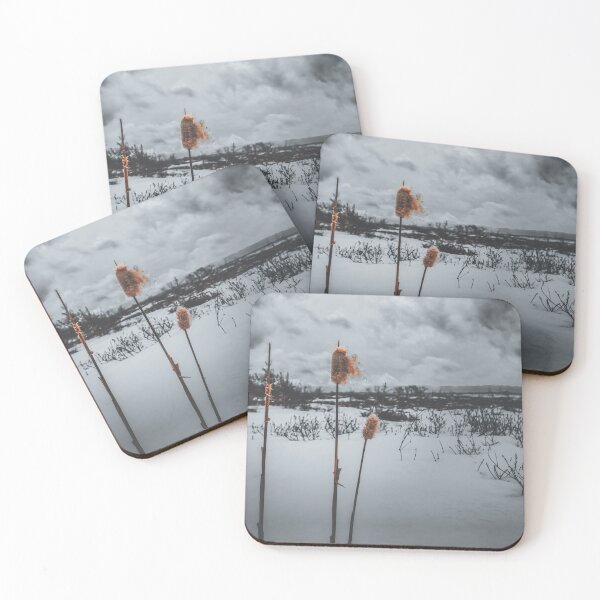Item preview, Winter's Dramatic Ballet V4 designed and sold by Family Journey with God.