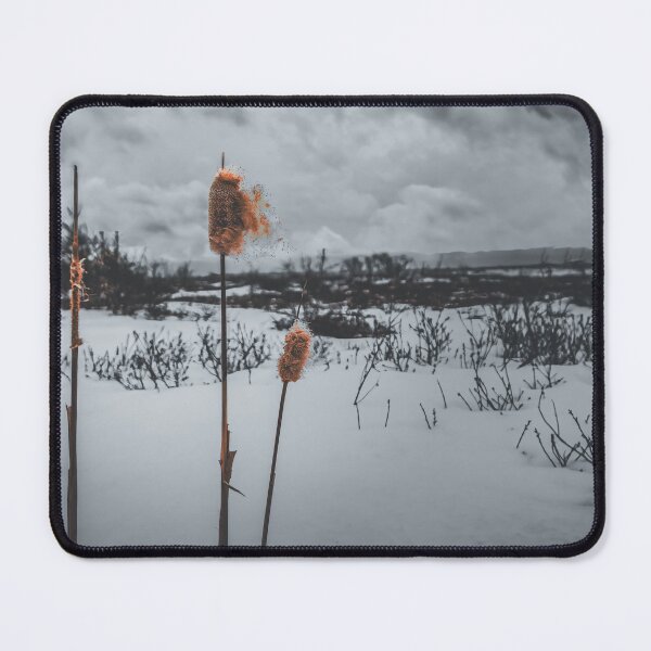 Item preview, Winter's Dramatic Ballet V4 designed and sold by Family Journey with God.