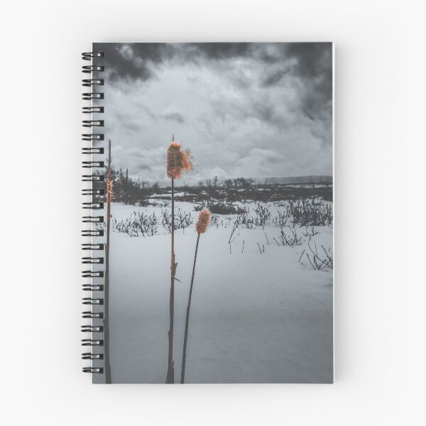 Item preview, Winter's Dramatic Ballet V4 designed and sold by Family Journey with God.