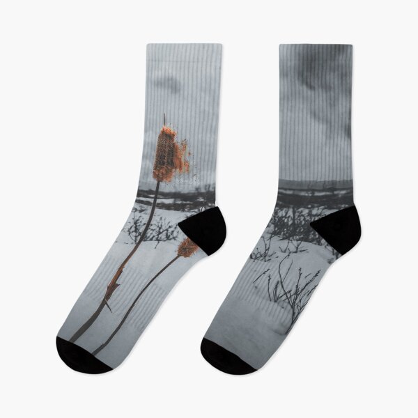 Item preview, Winter's Dramatic Ballet V4 designed and sold by Family Journey with God.