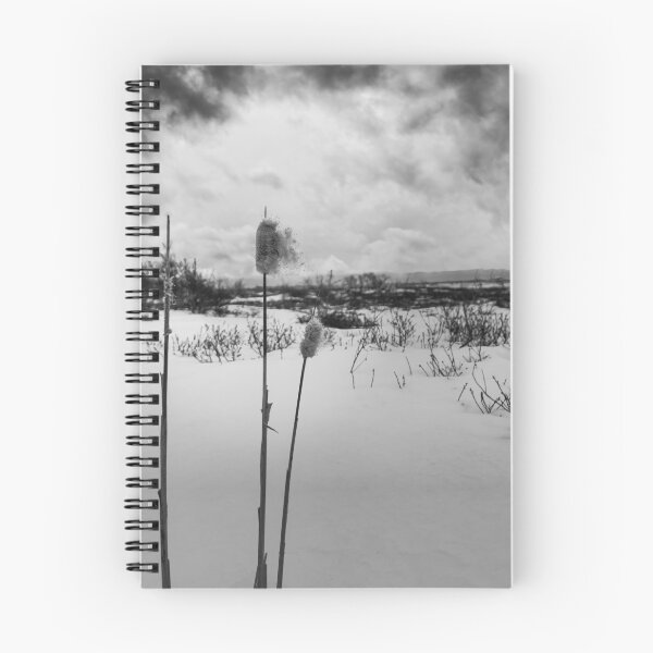 Item preview, Winter's Dramatic Ballet V5 designed and sold by Family Journey with God.