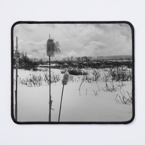 Item preview, Winter's Dramatic Ballet V5 designed and sold by Family Journey with God.